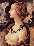 Portrat of Simonetta Vespucci